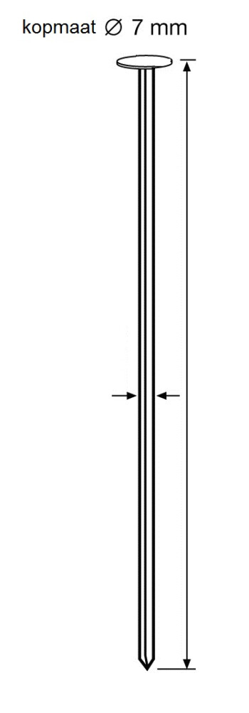 DRAADNAGEL 3.1MM 21º GEGALV 83MM DS 4ML